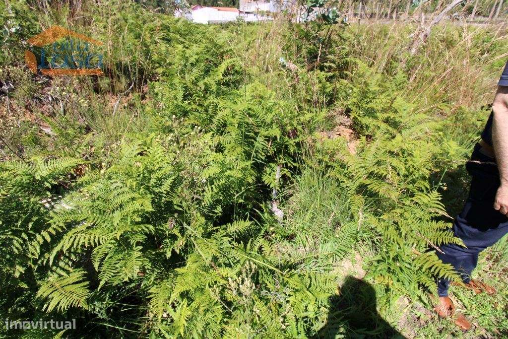 Terreno Industrial com 5.368 m2 para a construção de armazém - Grande imagem: 4/10