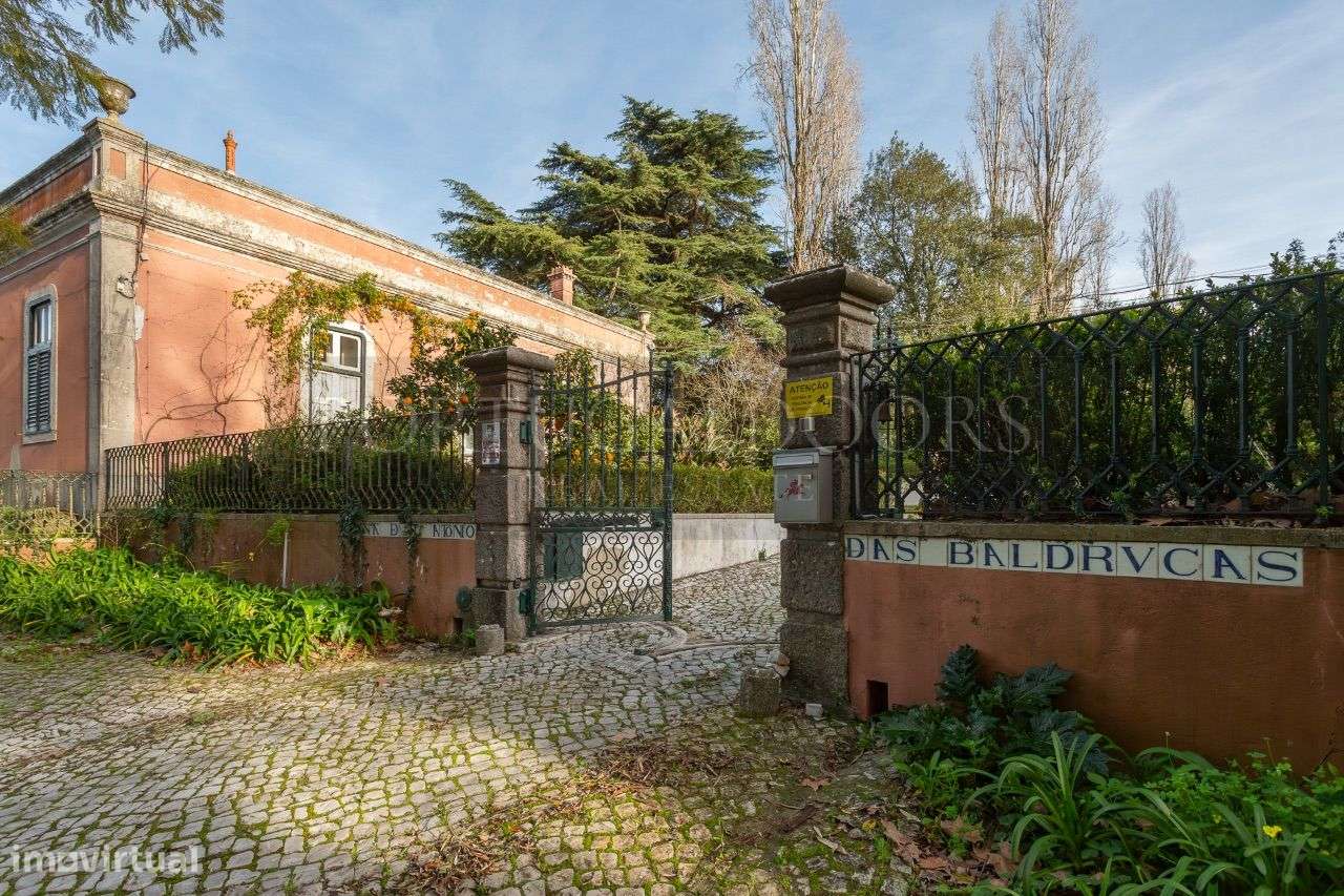 Quinta 5Ha em Azeitão-13