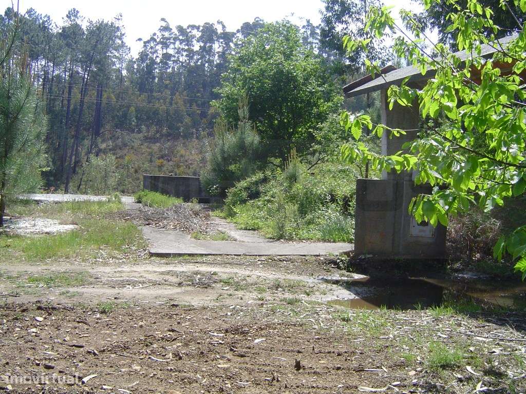 Quinta / Terreno para construção - Sever do Vouga - Grande imagem: 5/5