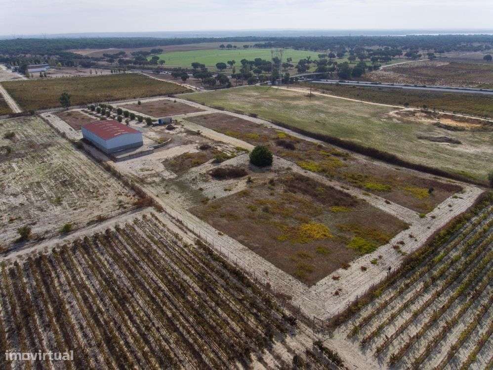 Venda de Quinta com armazém industrial-9