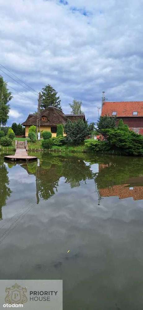 Elegancka posiadłość z prywatnym lasem,stawem - Pełny obrazek: 5/16