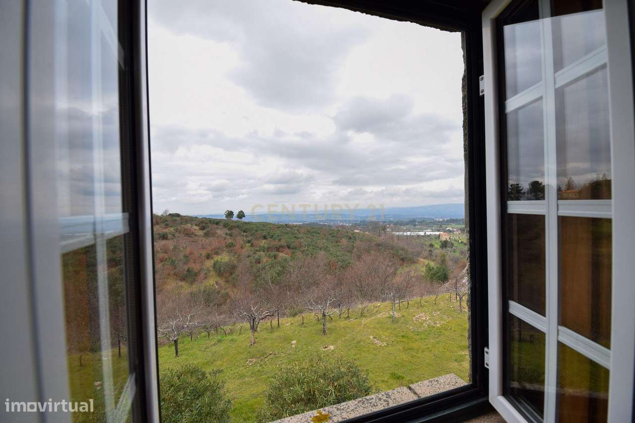 Quinta com construção em Pedra 20.000 m2 de terreno e Licença de Aloja-21