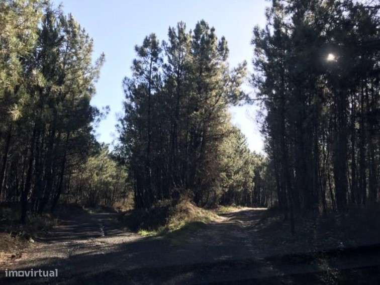 Terreno em Vila Real - Grande imagem: 4/4