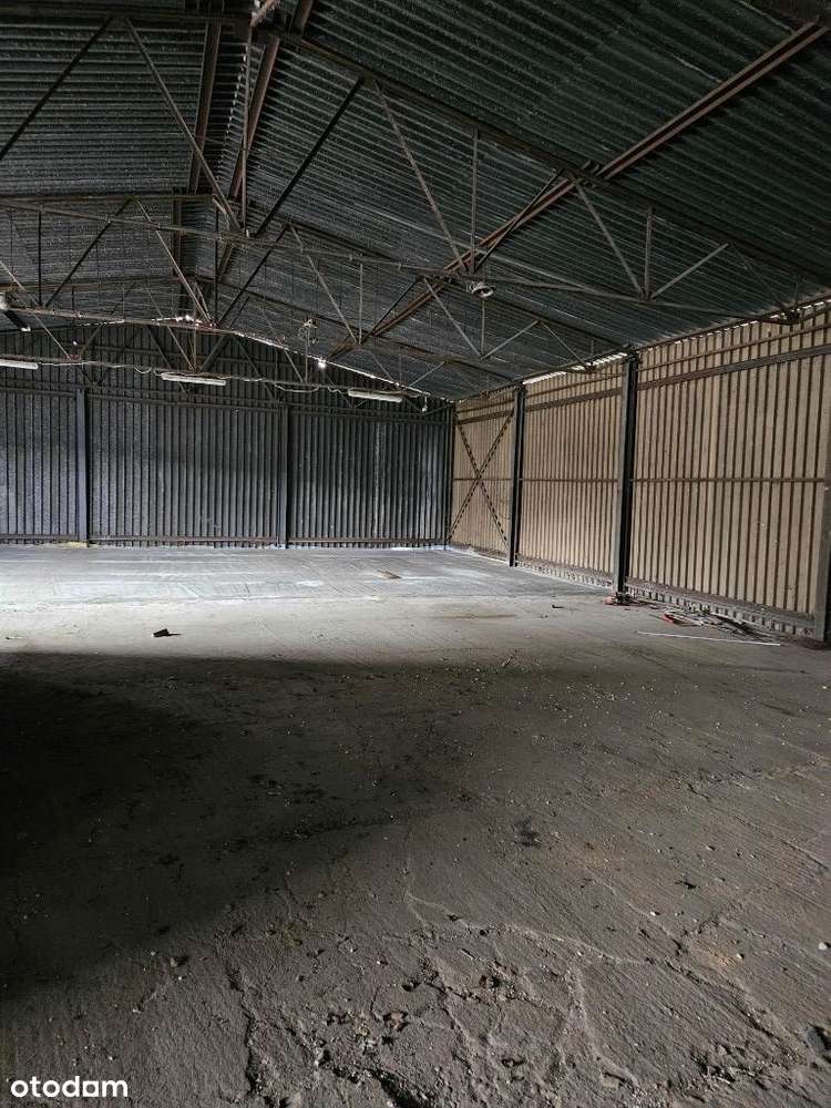 Magazyn 400 m2 Budowlana - Pełny obrazek: 2/2