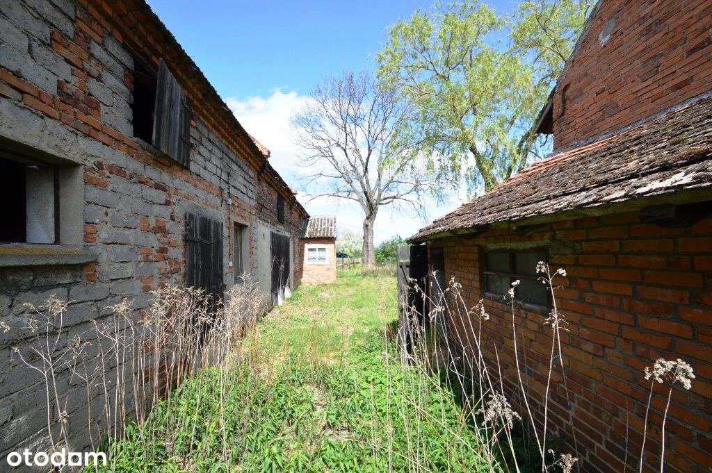 Dom, 200 m², Bąkowice - Pełny obrazek: 5/9