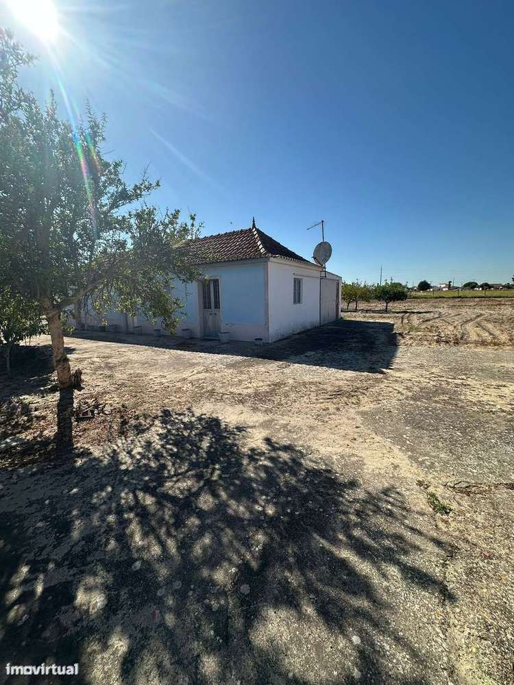 Quintinha com Moradia T2 em Foros Salvaterra - Grande imagem: 3/22