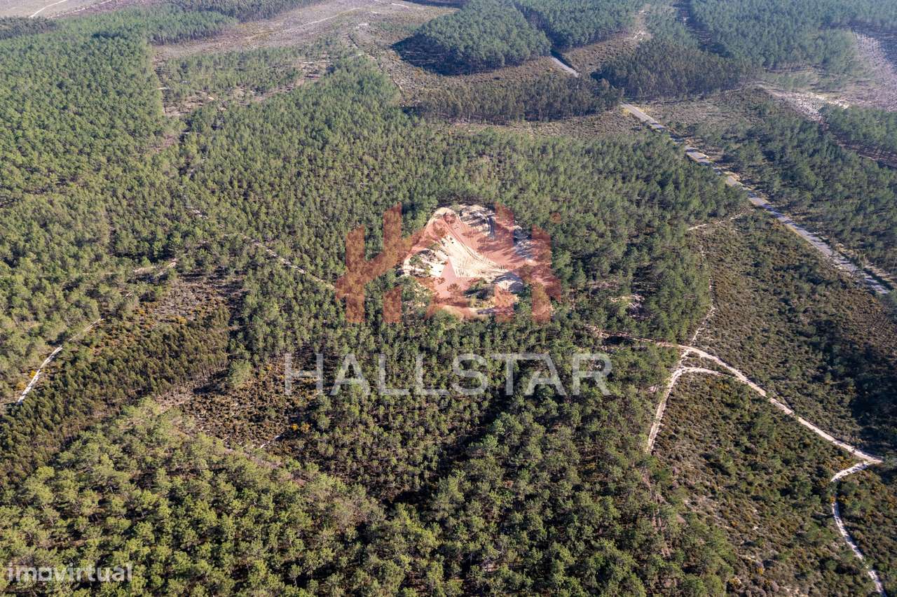 Terreno Florestal / Pinhal / Área Total de 59.400m2 / Nazaré - Grande imagem: 2/28
