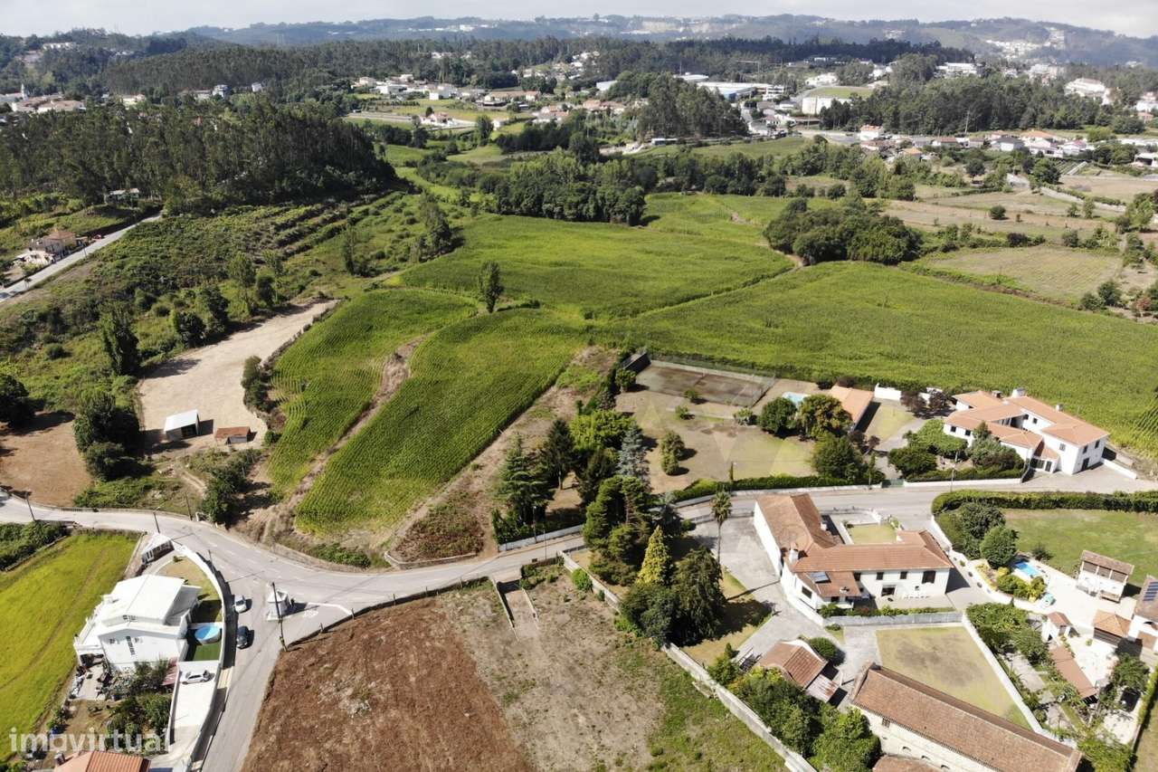 20.590 m2 | Excelente Exposição Solar | Regato e Rego de Rega | Guisan-6