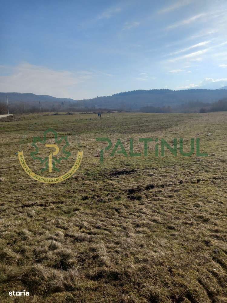 Vindem teren Sibiu, Valea Lupului, priveliste deosebita-4