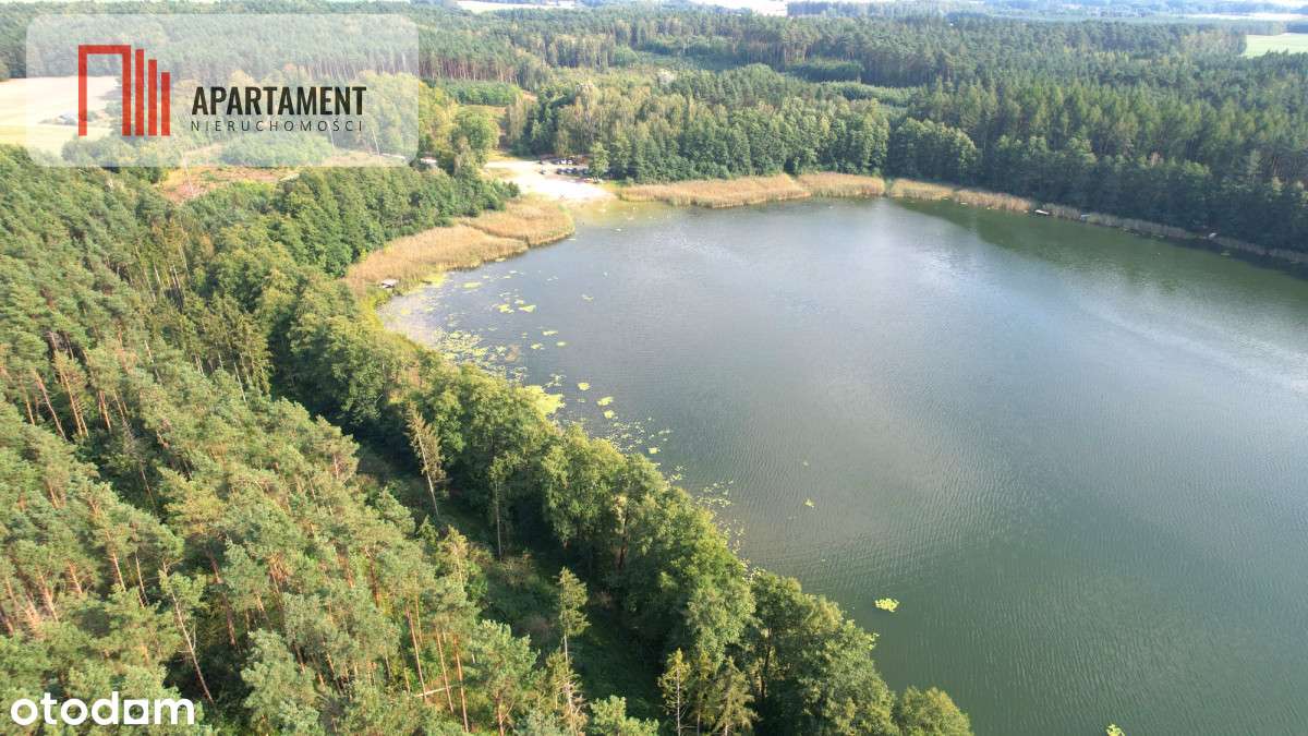 Urokliwe działki nad jeziorem Brzuchowo! - Pełny obrazek: 4/6