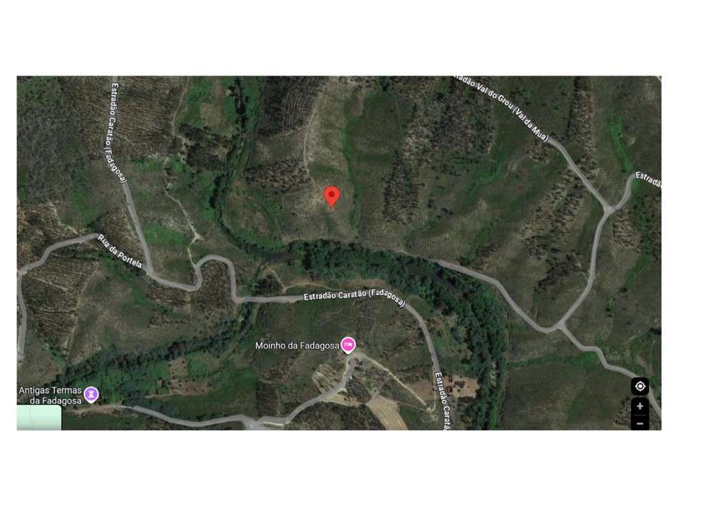 Terreno Rústico com 1.590 m² - Envendos, Mação - Grande imagem: 4/4