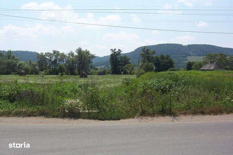 Teren Intravilan exceptional Str  L.  Rebreanu Tg Lapus - Imagine principală: 4/7