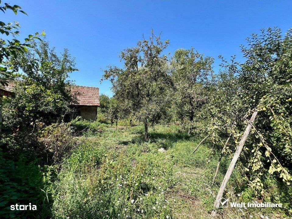 Casa renovabila, Jucu de Sus - Imagine principală: 4/13