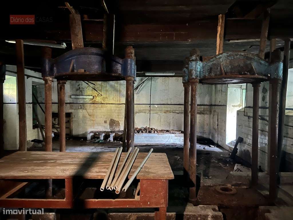 Lagar em Coimbra - Torres do Mondego (Coimbra) Portugal-22