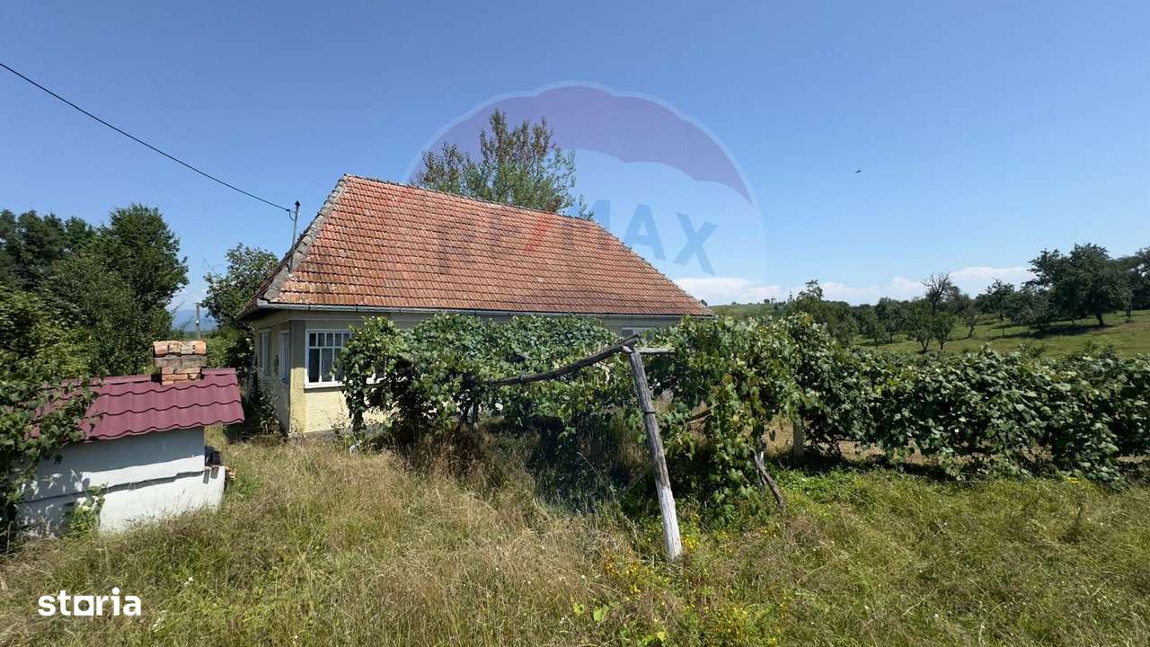 Casa cu teren De Vanzare in Ariesul de Padure - Imagine principală: 4/12