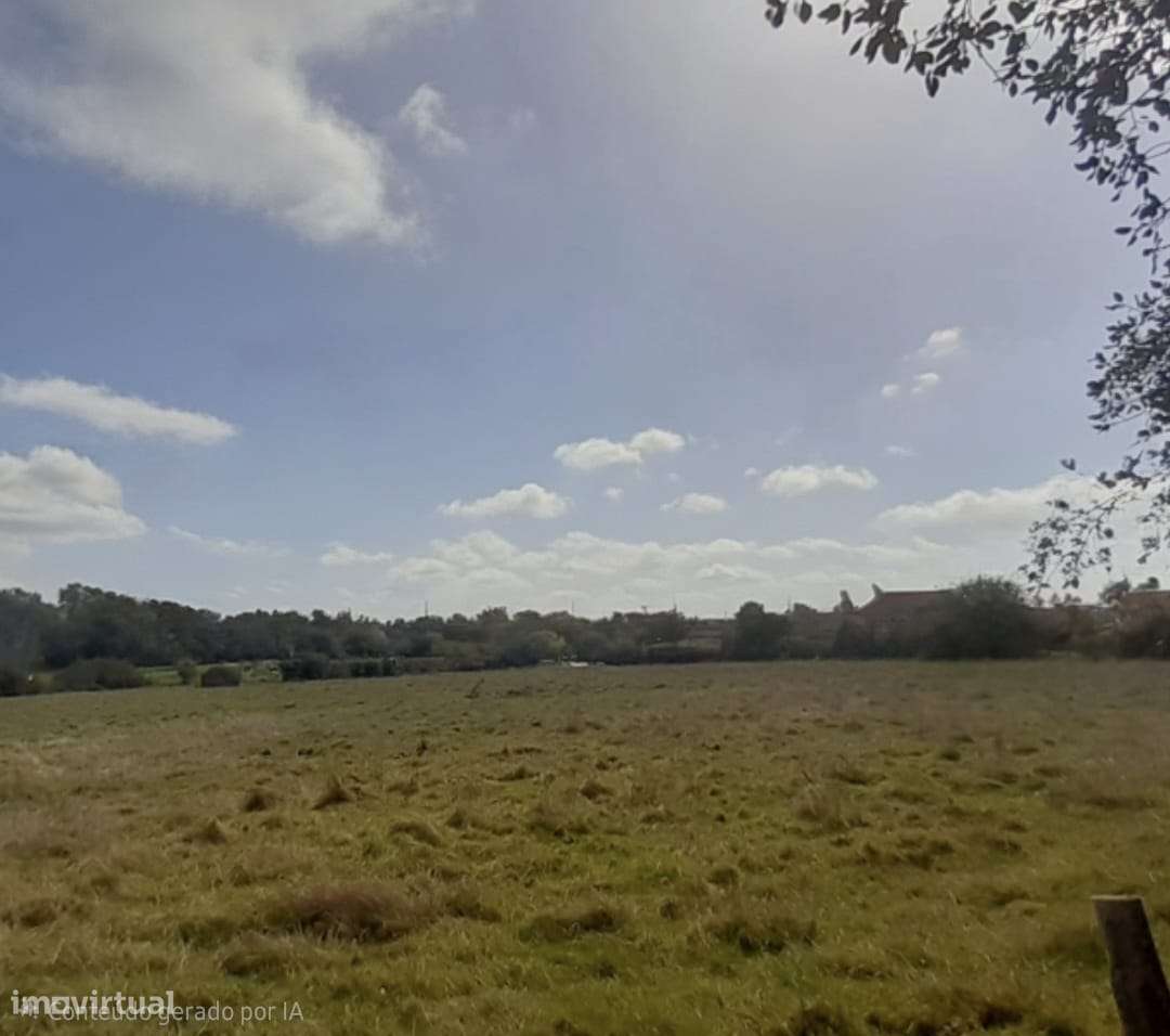 Moradia e 3 hectares terreno no Alto Alentejo em Nisa - Grande imagem: 4/8