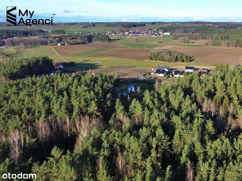 Lewino, ul. Lipowa - działki na sprzedaż-5