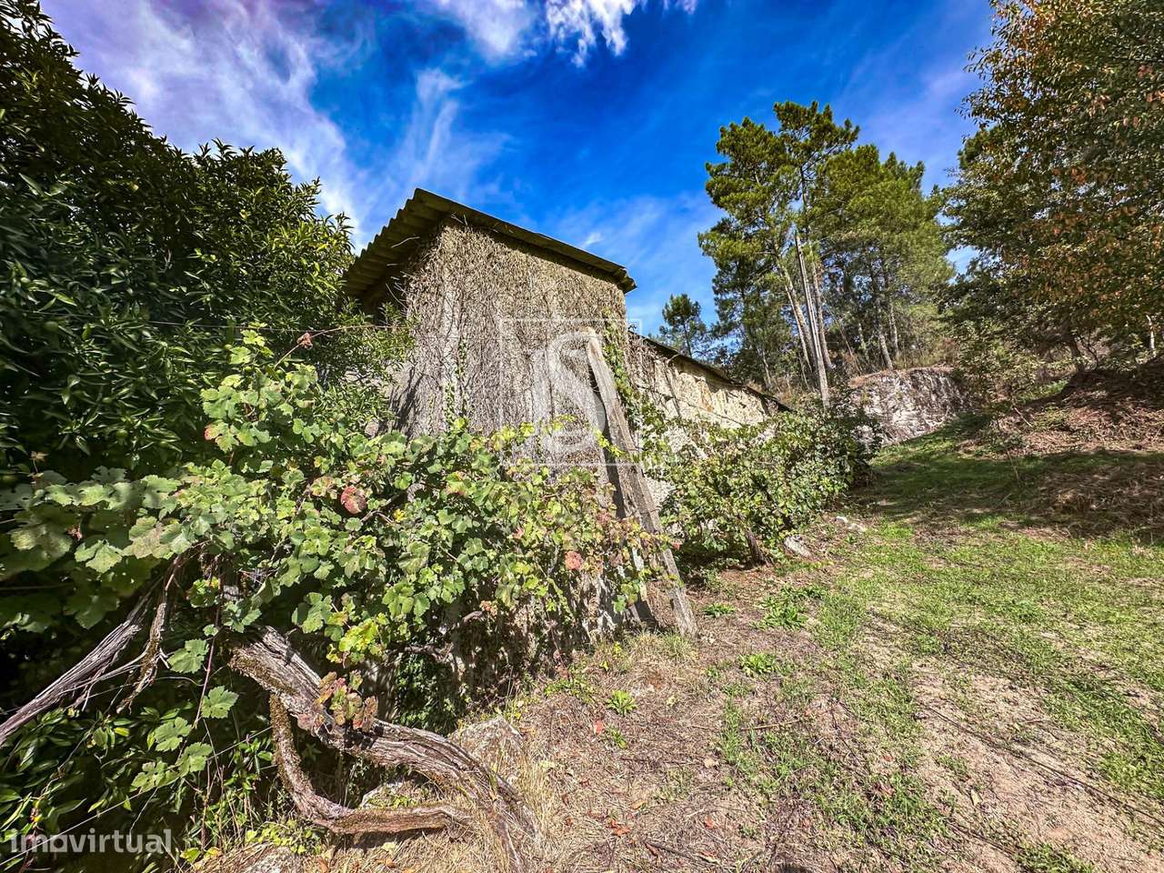 Quinta em Candemil - Grande imagem: 3/51