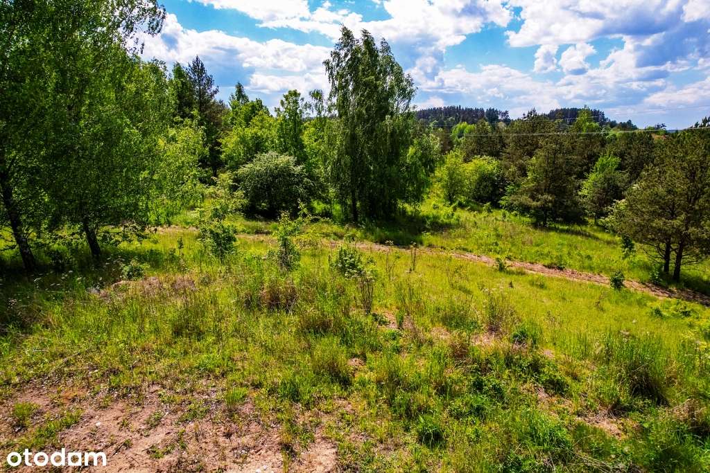 Działki budowlane w otoczeniu drzew  z dostępem do jez. Buwełno-15