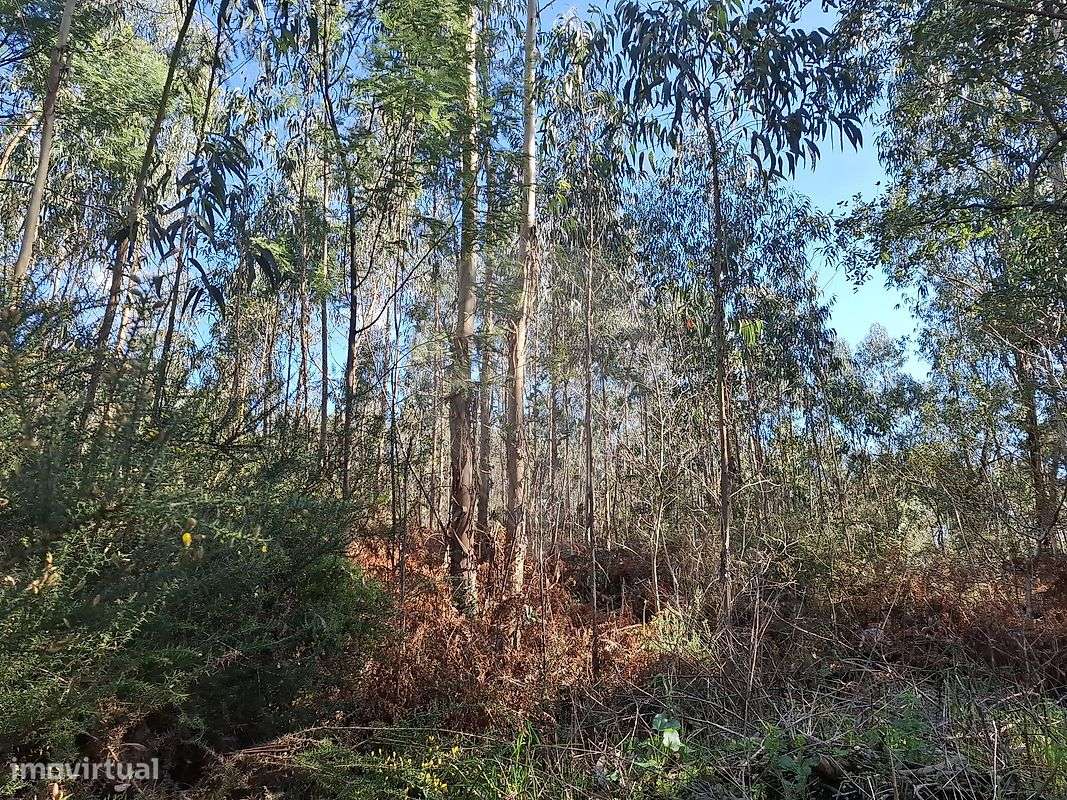 Terreno  para venda - Grande imagem: 2/6