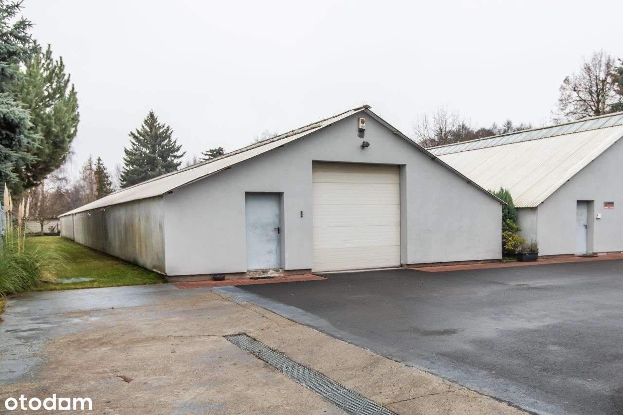 Na wynajem magazyny m2 Poznań/Swadzim - Pełny obrazek: 2/19