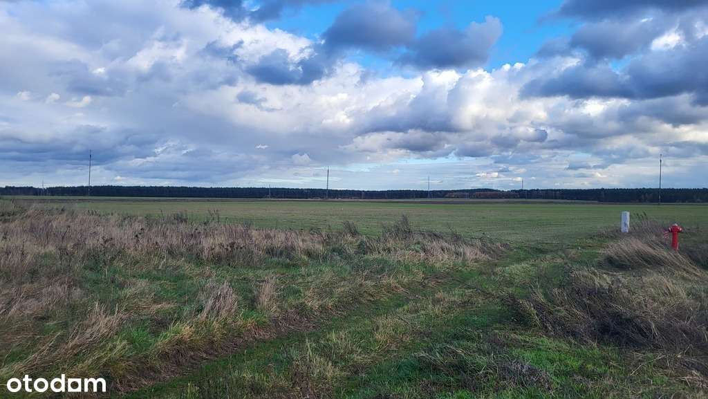 Działki w Chlastawie - 1300m2-2