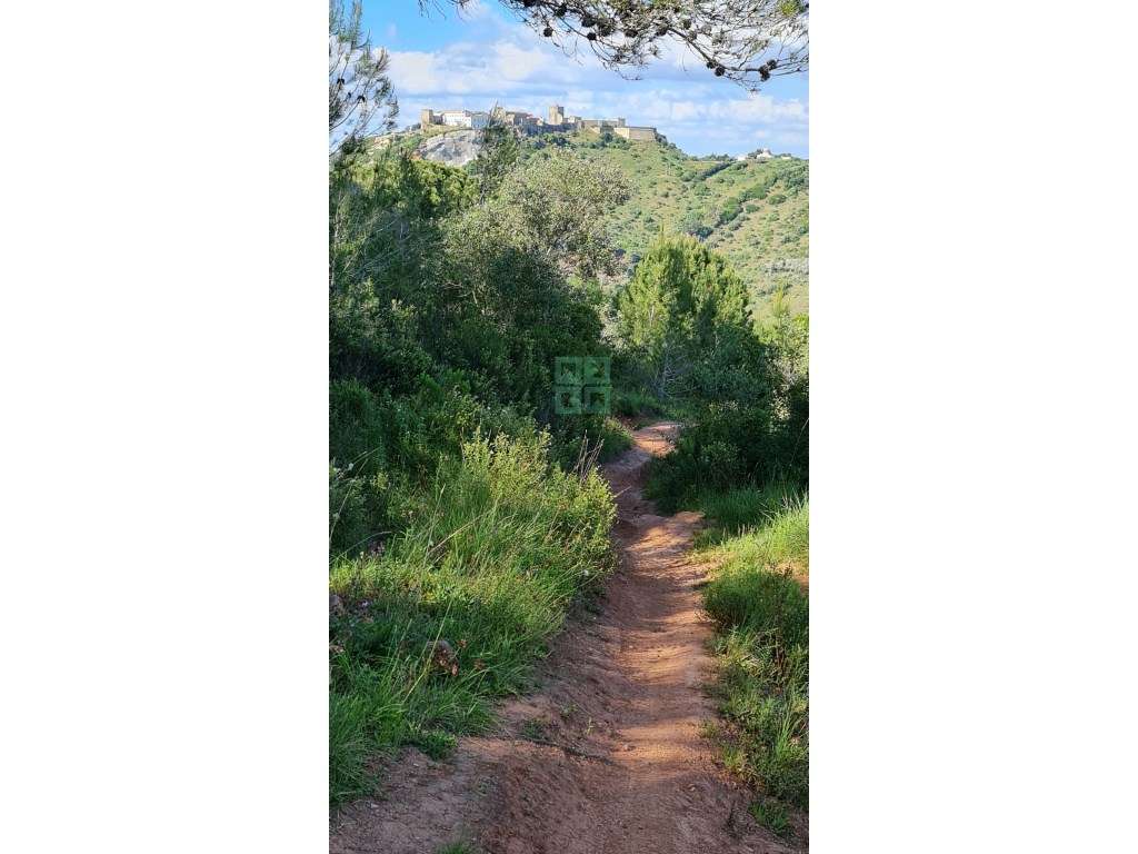 Quinta com 435.487 m2 na Serra da Arrábida, em Palmela, Setúbal-26
