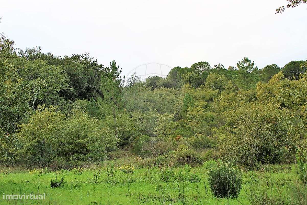 Terreno  para venda - Grande imagem: 5/6