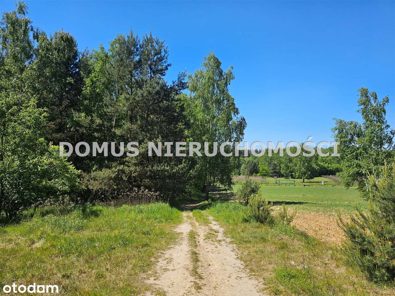 Działka inwestycyjna w Brzezinach - Pełny obrazek: 4/6