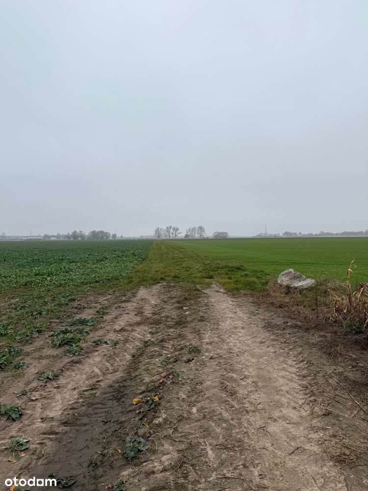 Grunt inwestycyjny, turystyka, sport i rekreacja, Batorowo-9