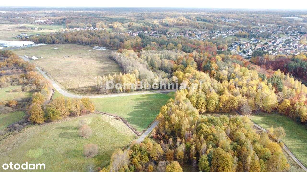 38ar budowlana przy drodze Borek Rzezawa-15