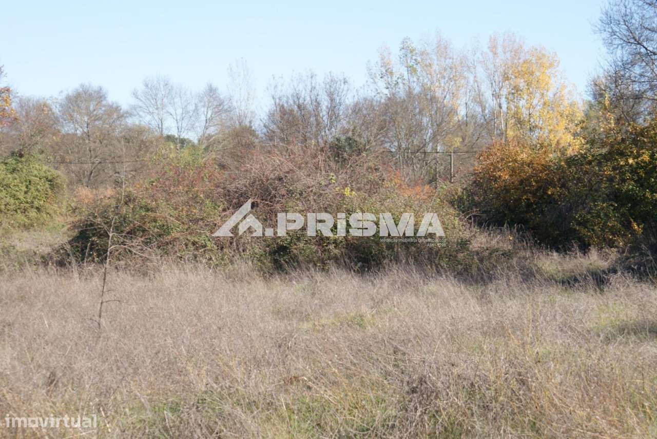 Oportunidade Única às Portas de Castelo Branco!-15