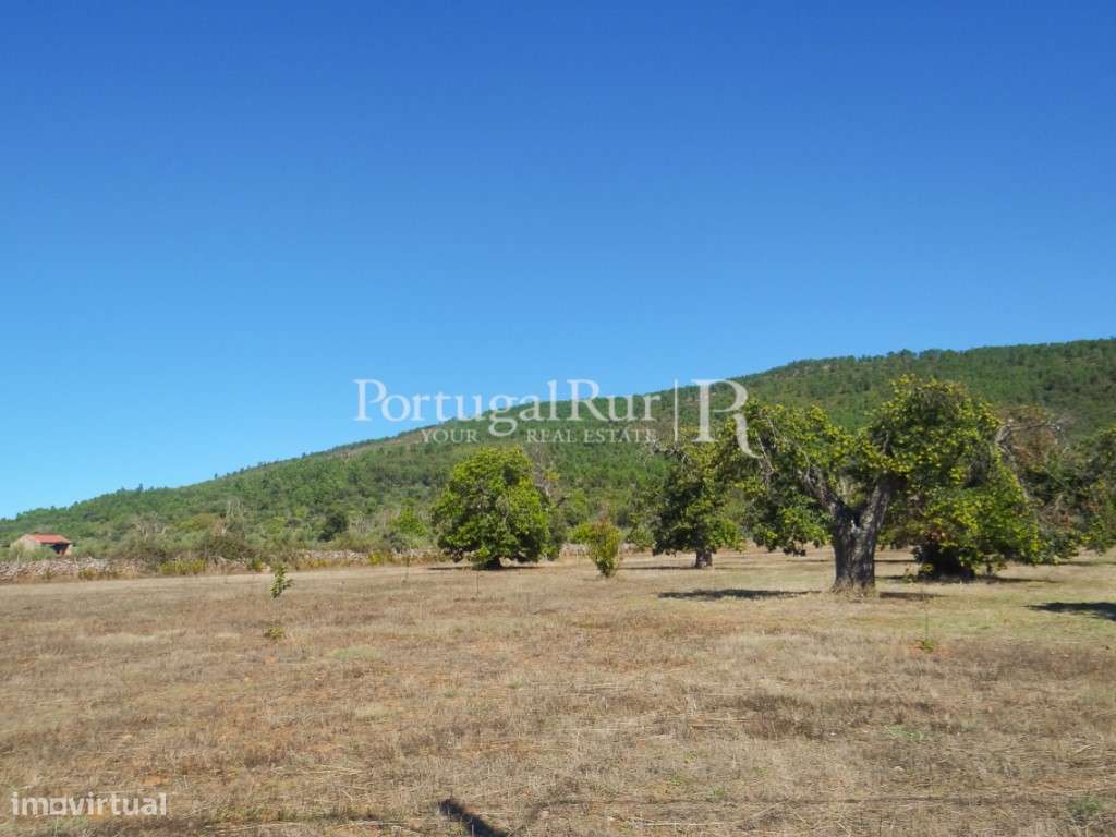 Quinta com 6ha com dependência agrícola em Marvão - Grande imagem: 3/9