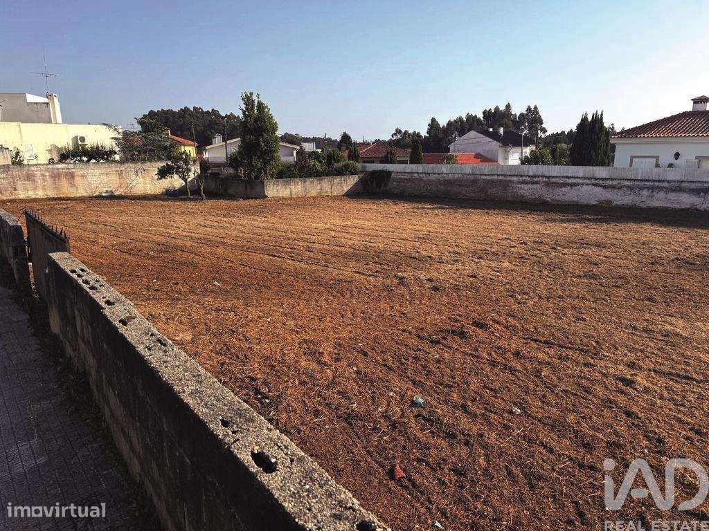 Terreno em Cortegaça de 1593,00 m2 - Grande imagem: 4/12