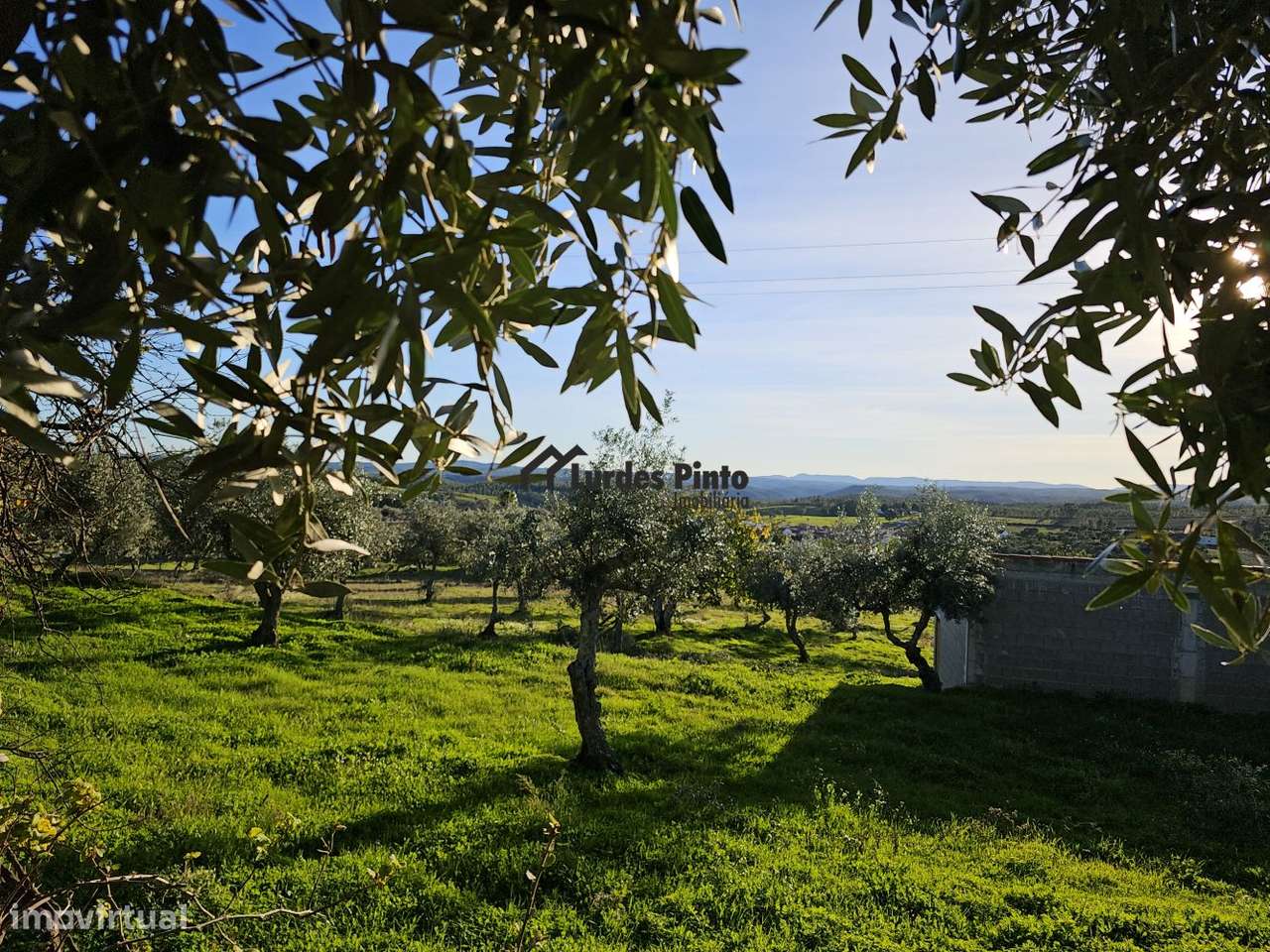 Quinta com construção - Grande imagem: 3/32