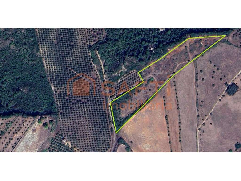Terreno junto à Vila da Marmeleira- Rio Maior. - Grande imagem: 3/3