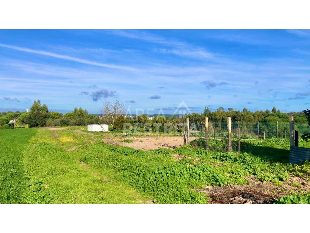 Moradia T2 - Canha (Montijo) - Grande imagem: 5/48