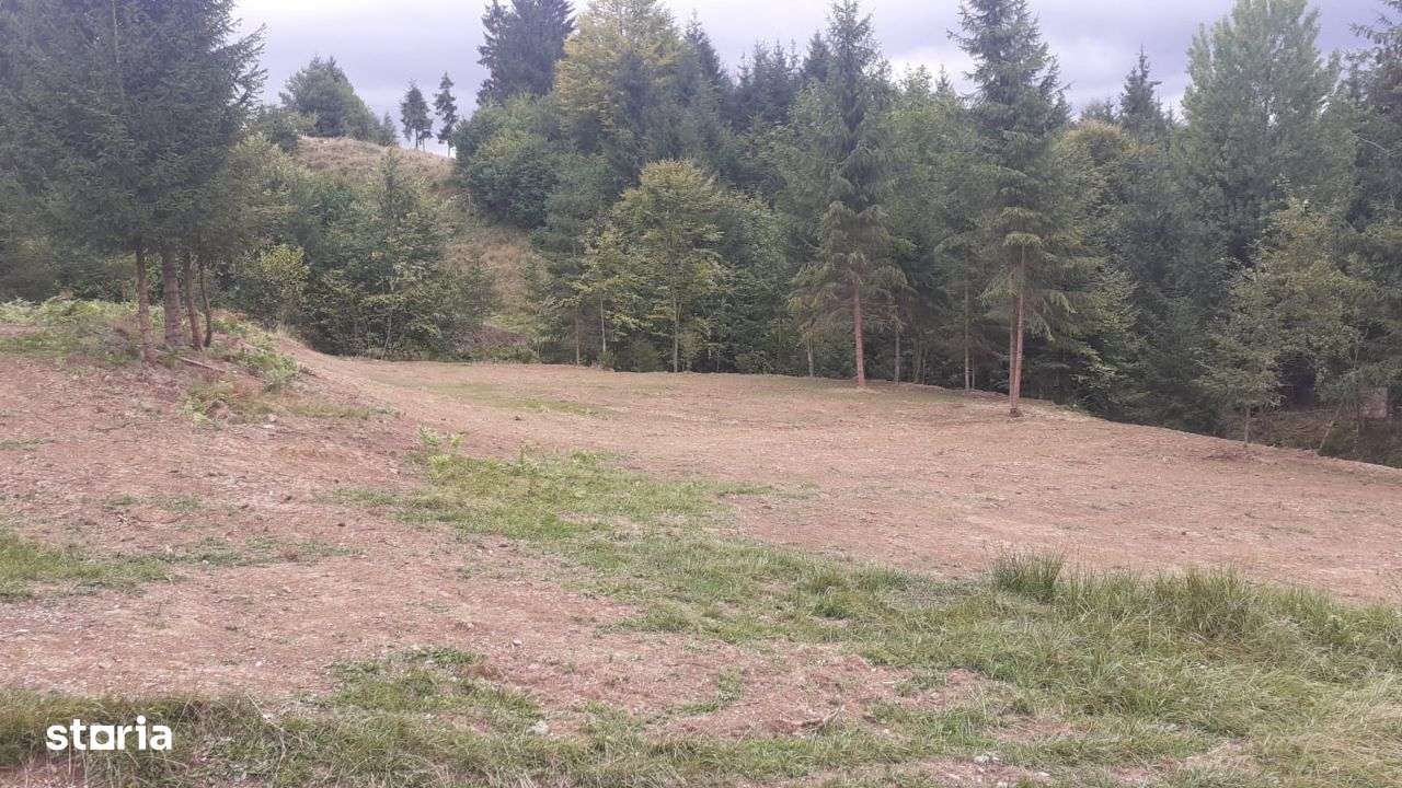 Teren 15 ari Colibita partea stânga. - Imagine principală: 4/5