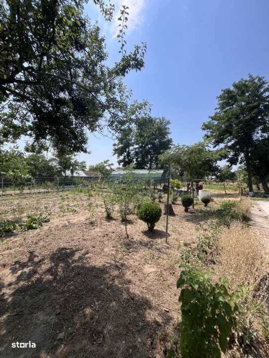 Casa de vacanta - Munteni Buzau - Jutetul Ialomita - Curte 2000mp-14