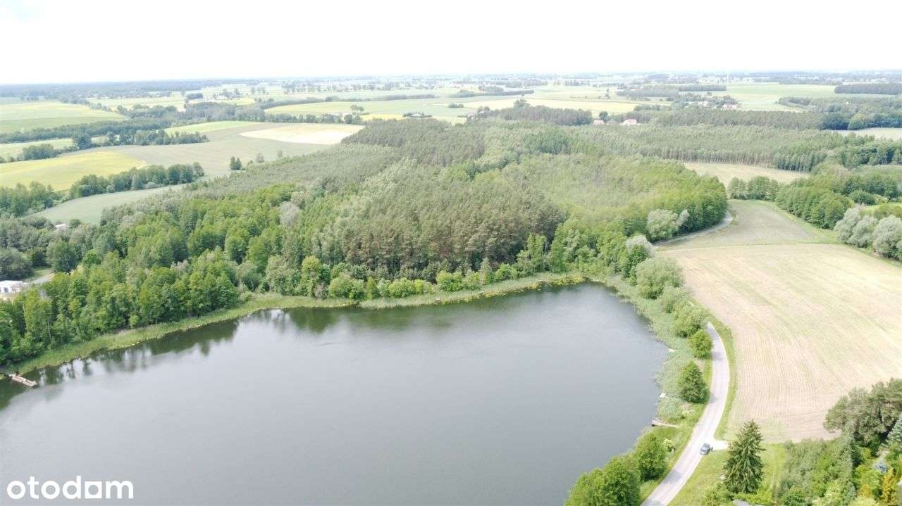 12 ha lasu z linią brzegową jeziora-3