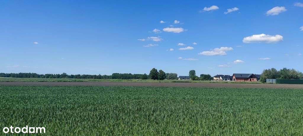 Borzęcin Duży działka budowlana blisko szkoły. - Pełny obrazek: 4/11