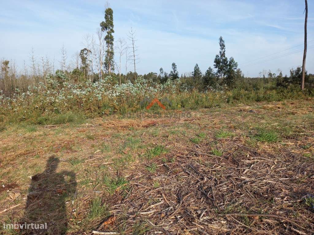 Terreno para urbanização em Passadouro ( Nariz ) - Grande imagem: 5/16