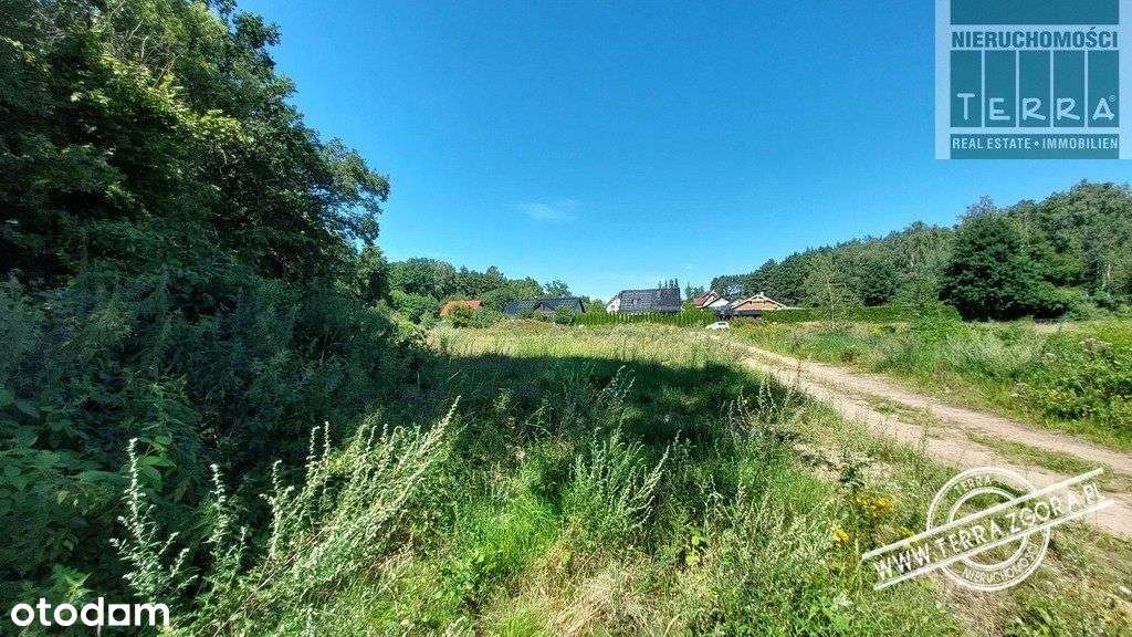 Droszków/Łaz działka Pod Lasem - Pełny obrazek: 5/7
