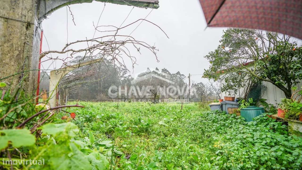 MORADIA V4 C/ PISCINA E TERRENO C/ ÁRVORES DE FRUTO-28