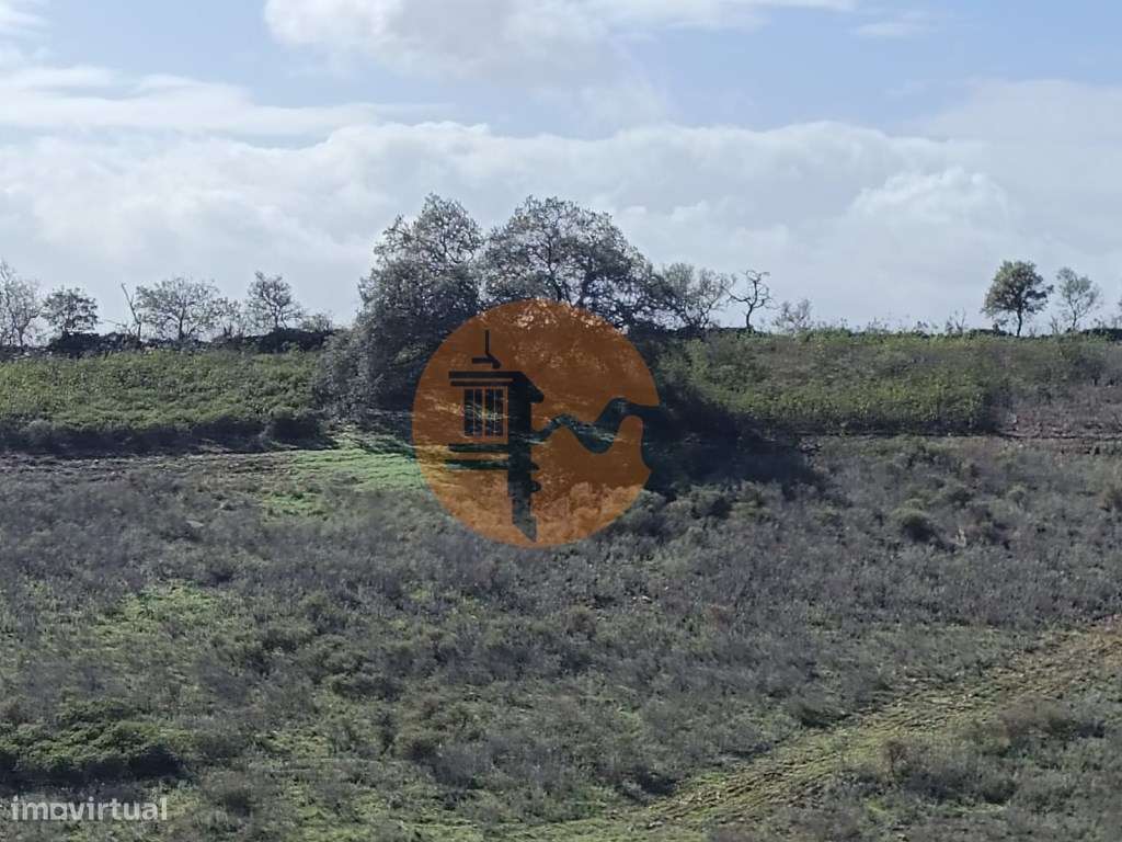 TERRENO COM 23.840 M2 - COM AGUA E LUZ - PLANO - BALURCOS - ALCOUTI... - Grande imagem: 1/17