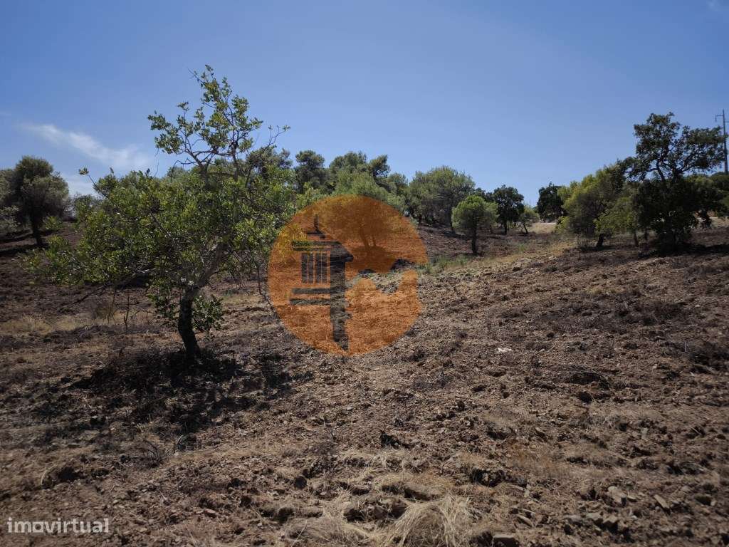 TERRENO RUSTICO COM 22.320 M2 - POSSIBILIDADE DE CONSTRUIR APOIO AG... - Grande imagem: 5/37