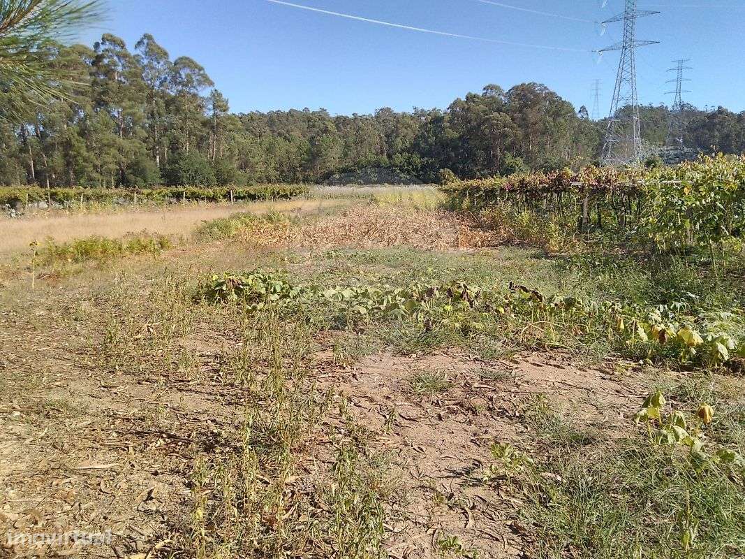 Terreno  para venda-3