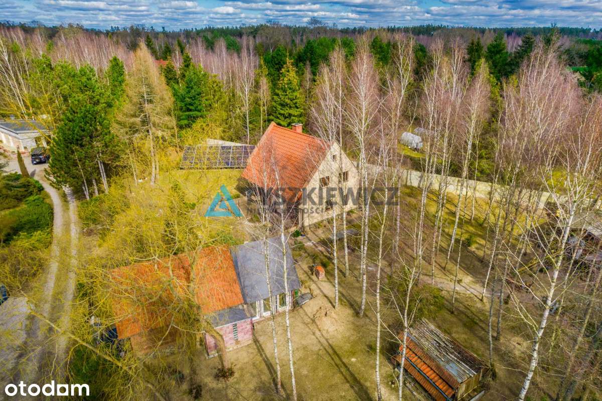 Powałki dom w lesie. - Pełny obrazek: 5/20