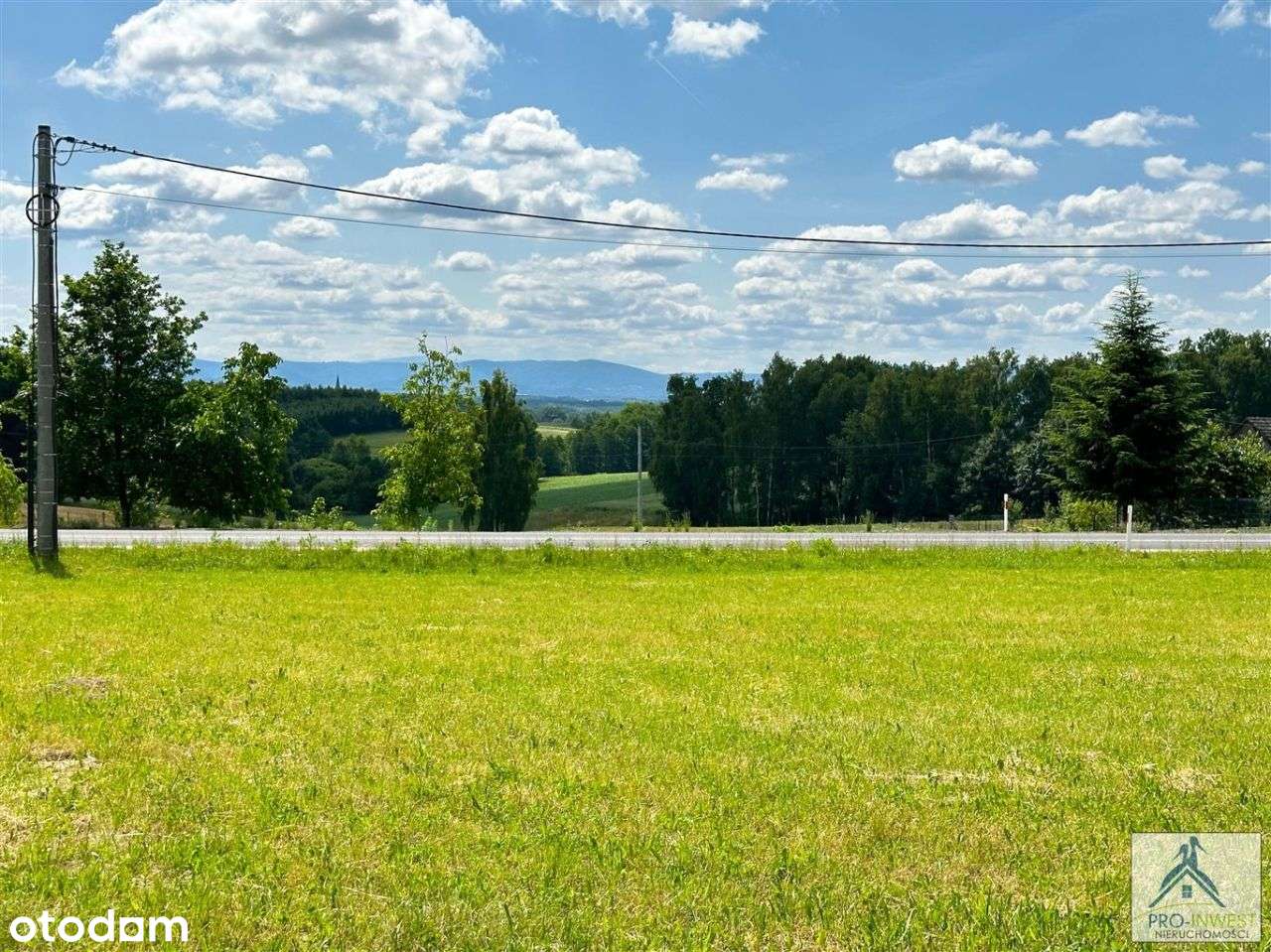 Dom + usługi nieuciążliwe bezpośrednio przy drodze-18