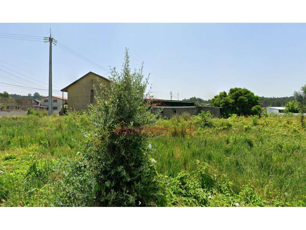 Terreno Plano Ideal para moradia - Águeda - Grande imagem: 4/4